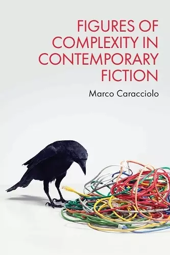 Figures of Complexity in Contemporary Fiction cover