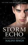 Storm Echo cover