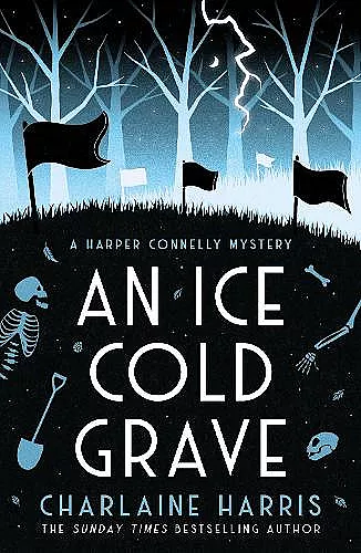 An Ice Cold Grave cover
