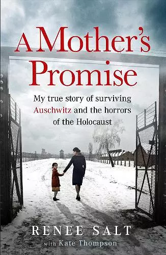 A Mother's Promise cover