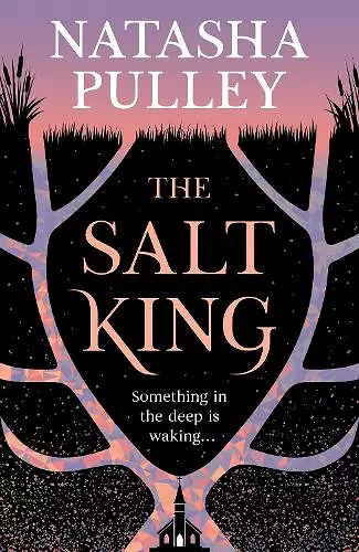 The Salt King cover