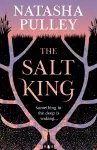 The Salt King cover