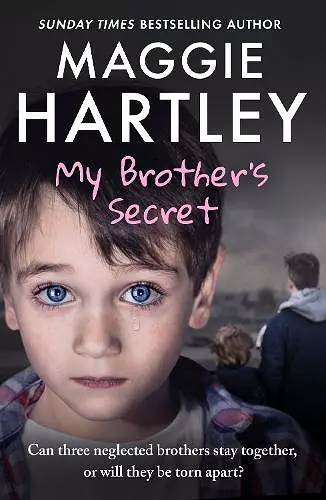 My Brother's Secret cover