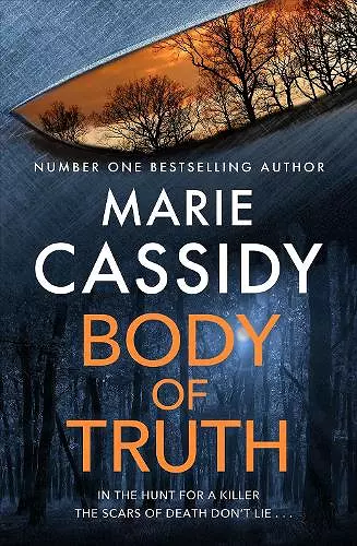 Body of Truth cover