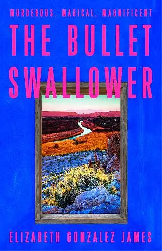 The Bullet Swallower cover