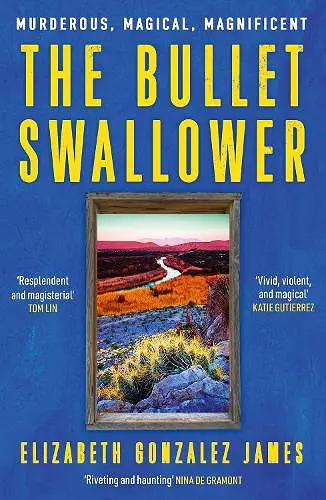 The Bullet Swallower cover