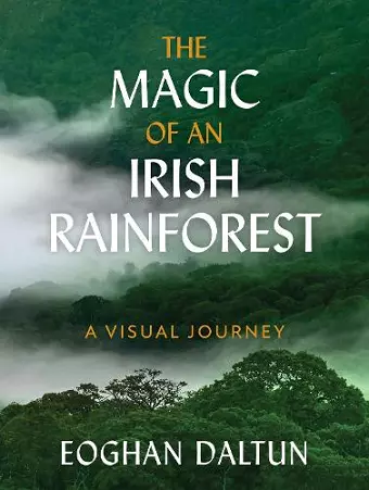 The Magic of an Irish Rainforest cover