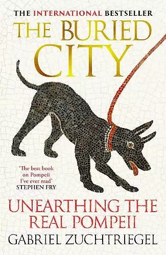 The Buried City cover