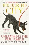 The Buried City cover