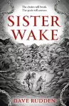 Sister Wake cover