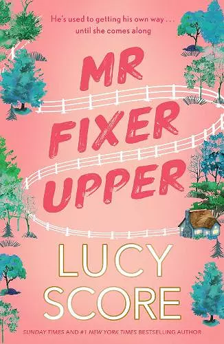 Mr Fixer Upper cover