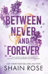BETWEEN NEVER AND FOREVER cover