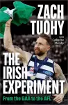 The Irish Experiment cover