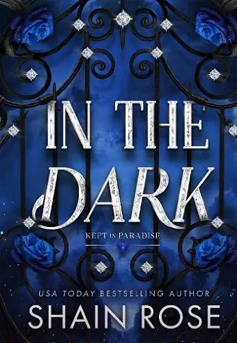 In the Dark cover