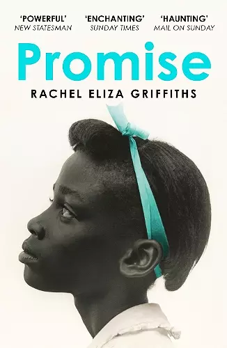 Promise cover