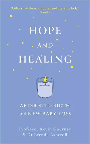 Hope and Healing After Stillbirth And New Baby Loss cover