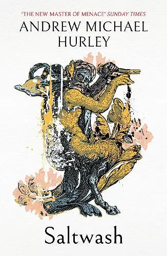 Saltwash cover
