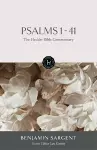 The Hodder Bible Commentary: Psalms 1-41 cover