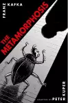 The Metamorphosis: The Illustrated Edition cover