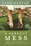 Perfect Mess cover