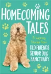 Homecoming Tales cover