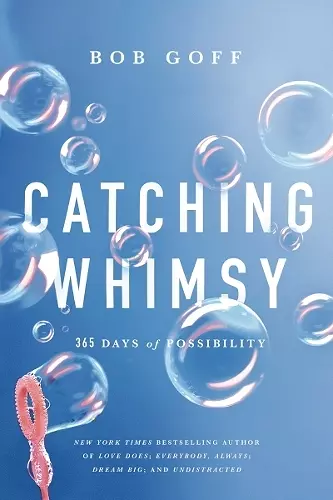 Catching Whimsy cover