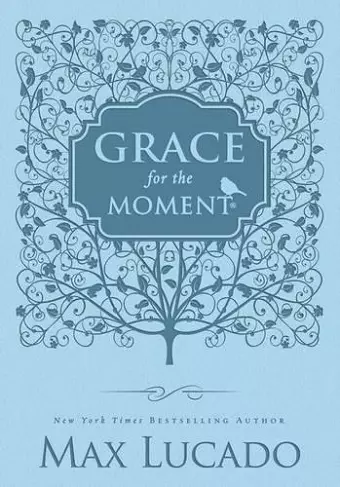 Grace for the Moment Volume I, Blue Leathersoft cover