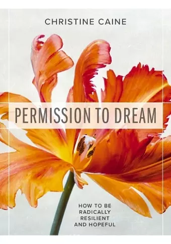 Permission to Dream cover