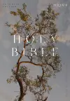 NRSV Catholic Edition Bible, Eucalyptus Hardcover (Global Cover Series) cover