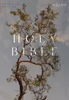 NRSV Catholic Edition Bible, Eucalyptus Paperback (Global Cover Series) cover