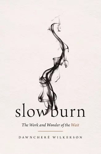 Slow Burn cover