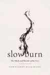 Slow Burn cover