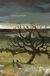 Wuthering Heights: Deluxe Painted Edition cover