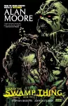 Saga of the Swamp Thing Book Two cover