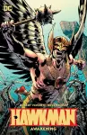 Hawkman Volume 1: Awakening cover