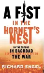 A Fist In The Hornet's Nest cover