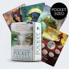 Mystical Shaman Pocket Oracle Cards cover