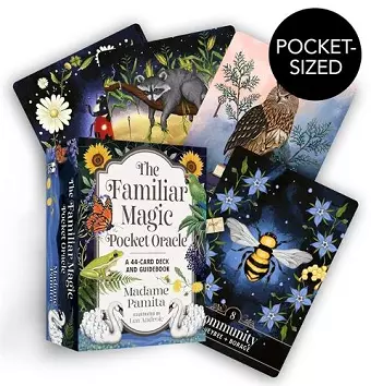 The Familiar Magic Pocket Oracle cover