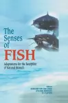 The Senses of Fish cover