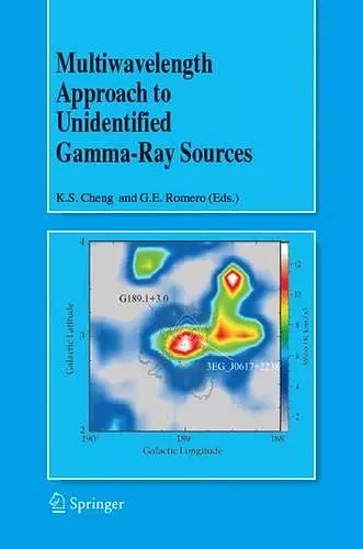 Multiwavelength Approach to Unidentified Gamma-Ray Sources cover