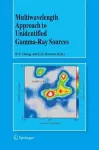 Multiwavelength Approach to Unidentified Gamma-Ray Sources cover