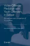 Victim-Offender Mediation with Youth Offenders in Europe cover