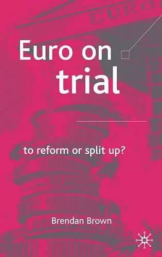 Euro on Trial cover