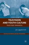 Television and Youth Culture cover