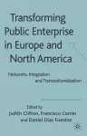 Transforming Public Enterprise in Europe and North America cover