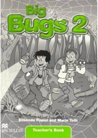 Big Bugs 2 Flashcards International cover