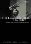 The Black Church in America cover