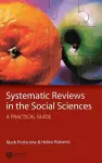 Systematic Reviews in the Social Sciences cover