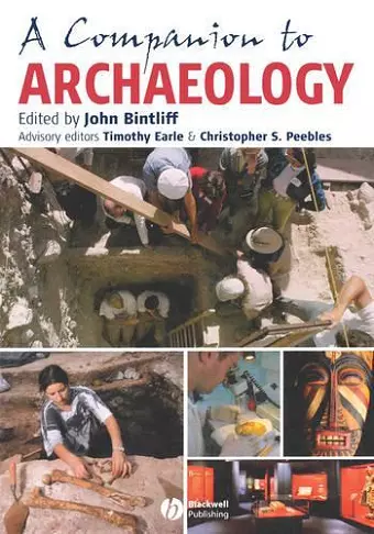 A Companion to Archaeology cover