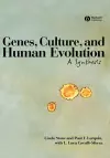 Genes, Culture, and Human Evolution cover